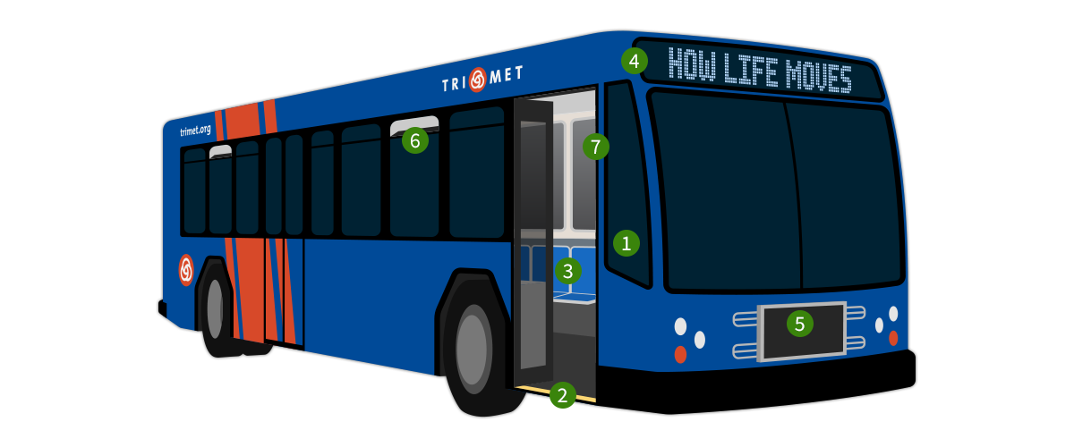 Bus illustration